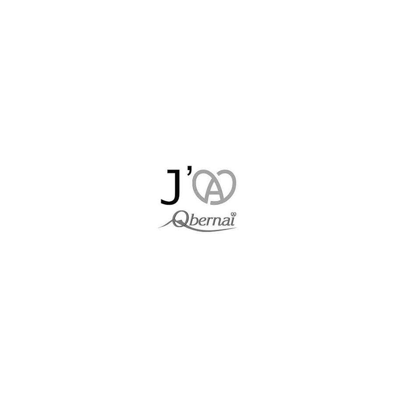 Logo Obernai