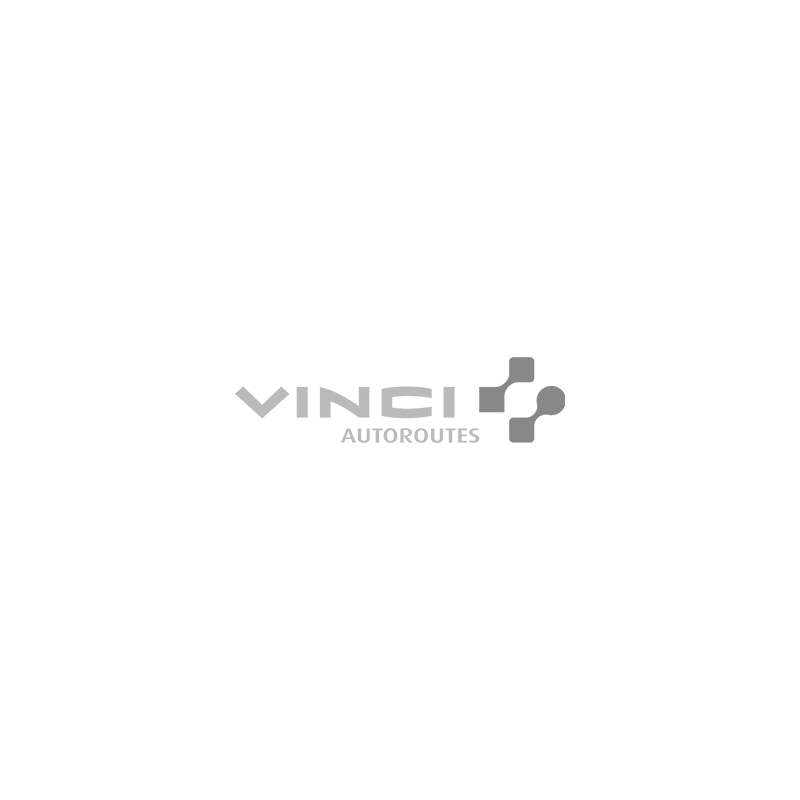 Logo Vinci